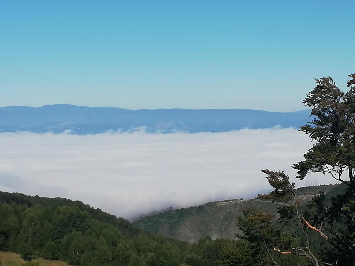 Apartman Adelfes P16, Milmari Resort Kopaonik Exteriér fotografie